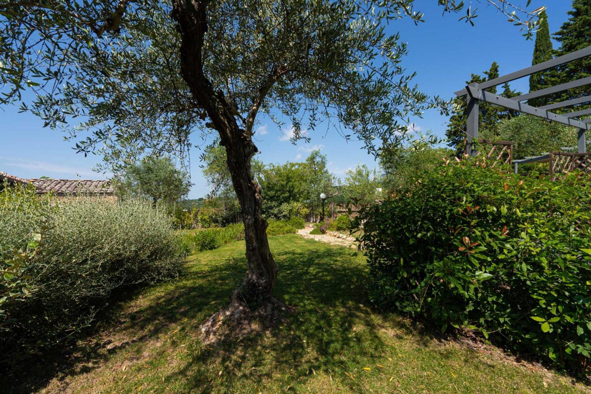 Casa Alta Leilighet Greve in Chianti Eksteriør bilde